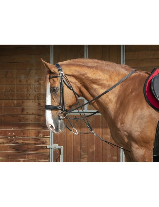 Gogue à poulies NORTON