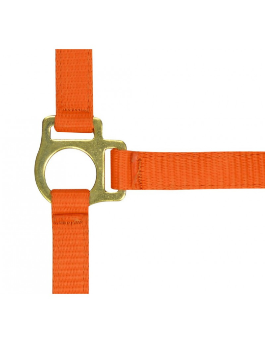 Licol nylon poulain NORTON