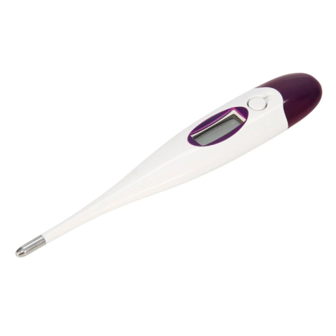 Thermomètre numérique