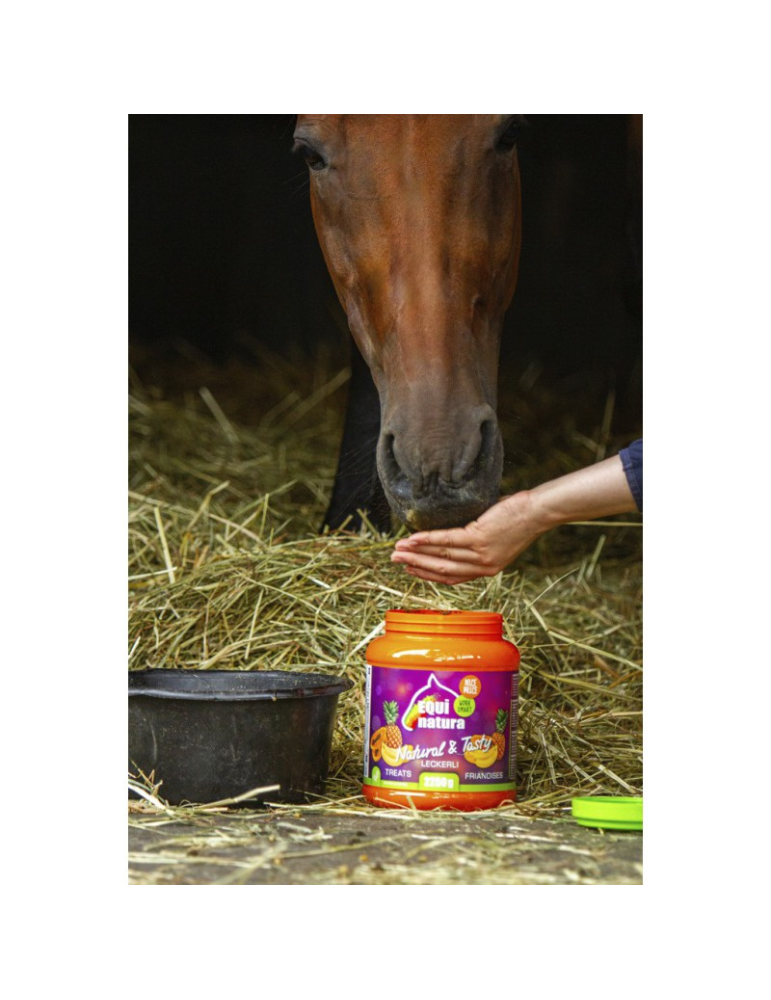 Friandises naturelles EQUINATURA