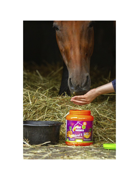 Friandises naturelles EQUINATURA
