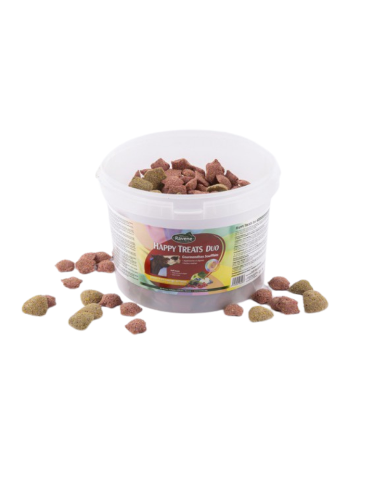 Friandises Happy Treats Duo RAVENE