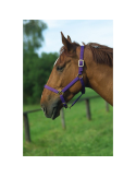 Licol nylon doublé cuir FULL