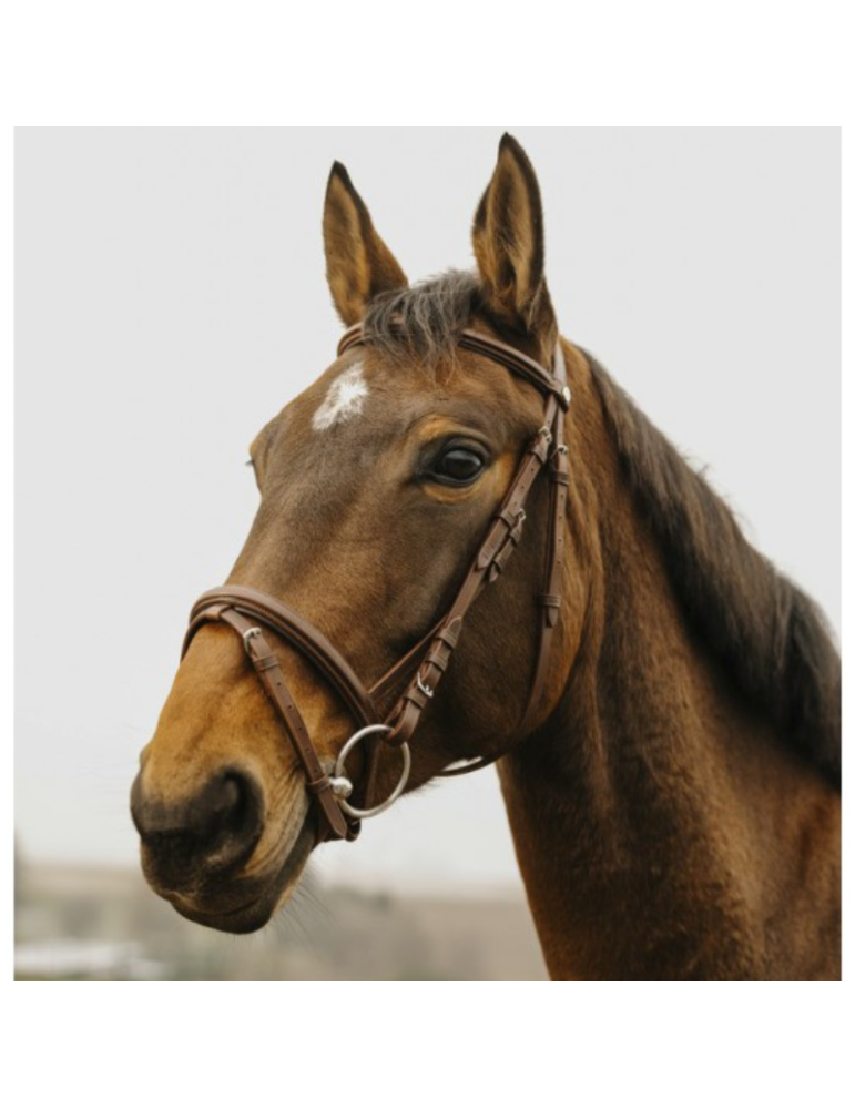 Bridon Square - NORTON