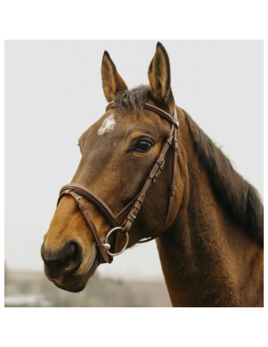 Bridon Square - NORTON