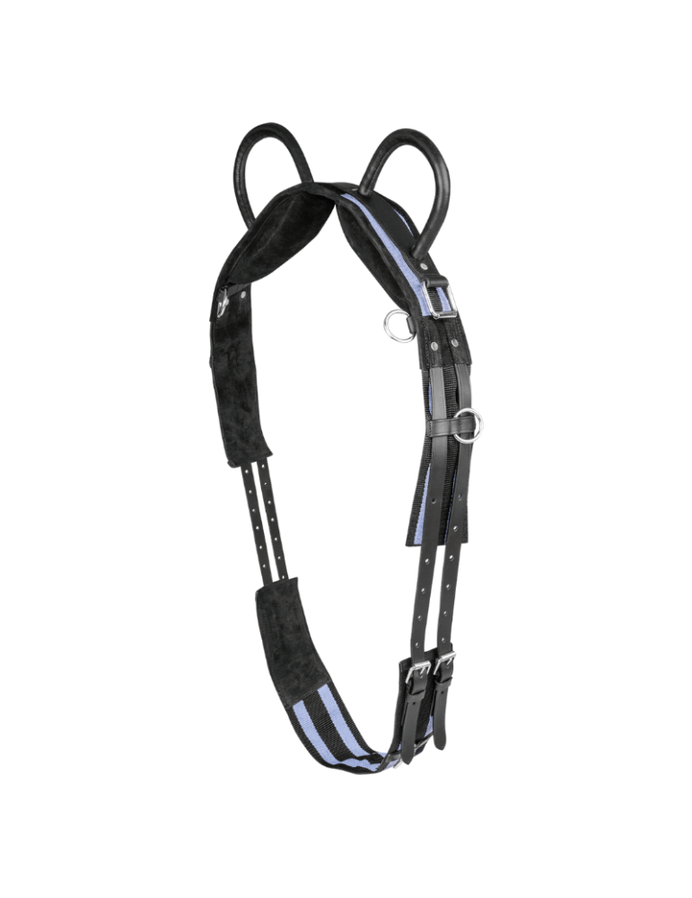 Surfaix à deux poignées - WALDHAUSEN