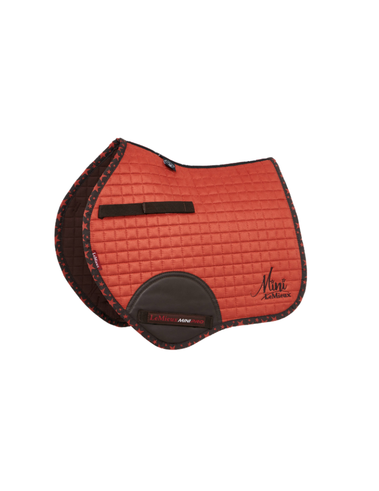 Tapis CSO Square Mini LEMIEUX