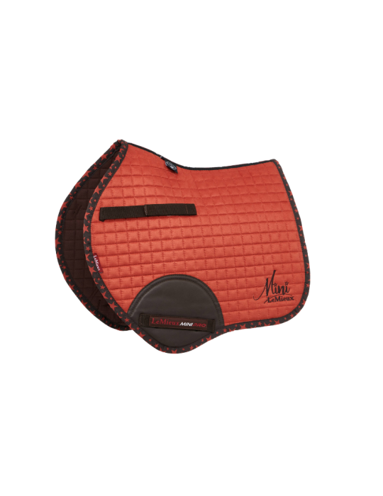 Tapis CSO Square Mini LEMIEUX