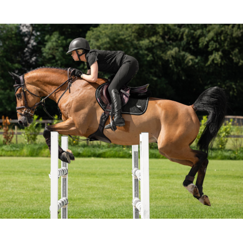 Tapis de CSO Puissance LEMIEUX 2