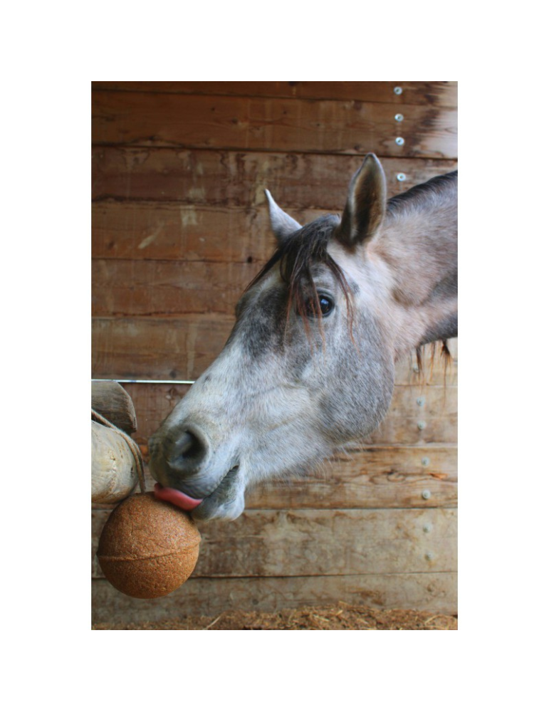 Unika Ball's "endurance"