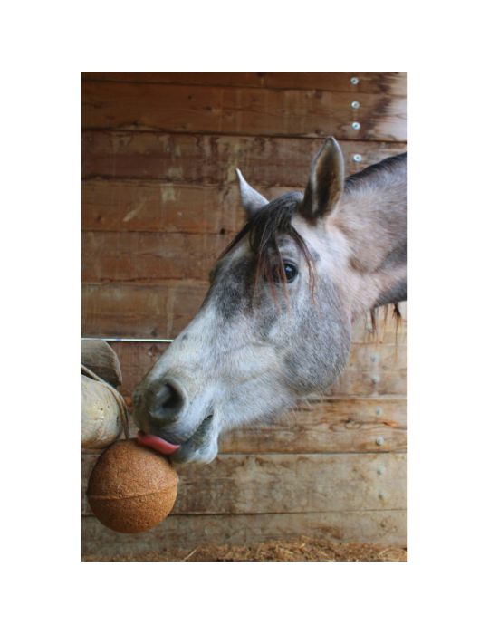 Unika Ball's "endurance"