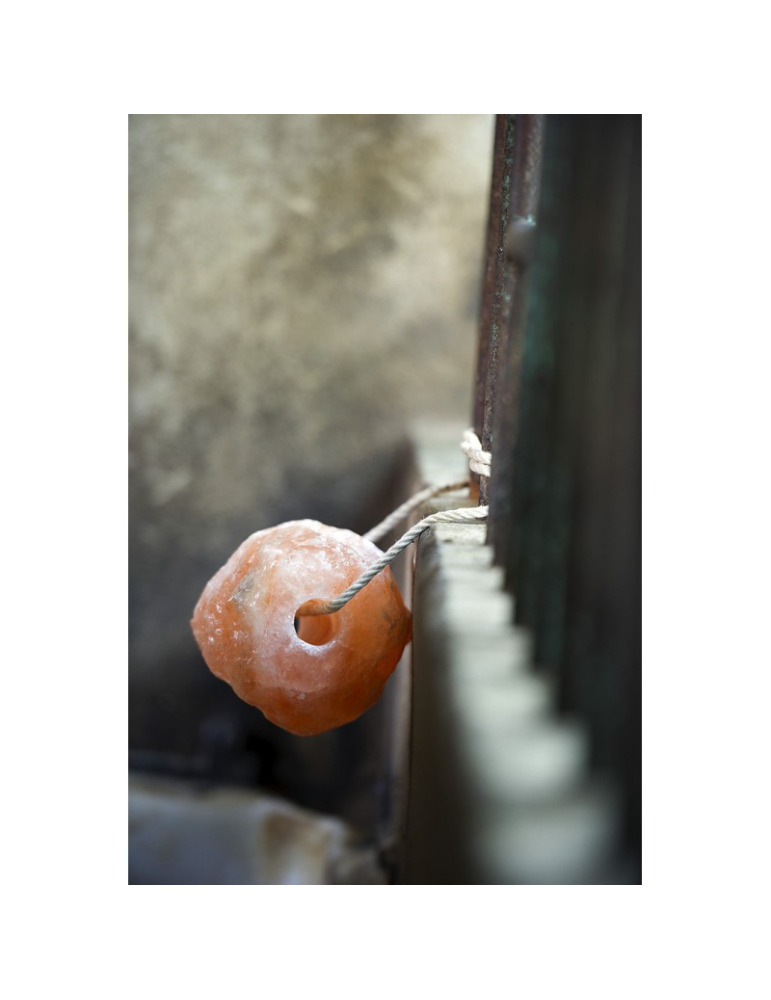 Pierre à sel de l'Himalaya