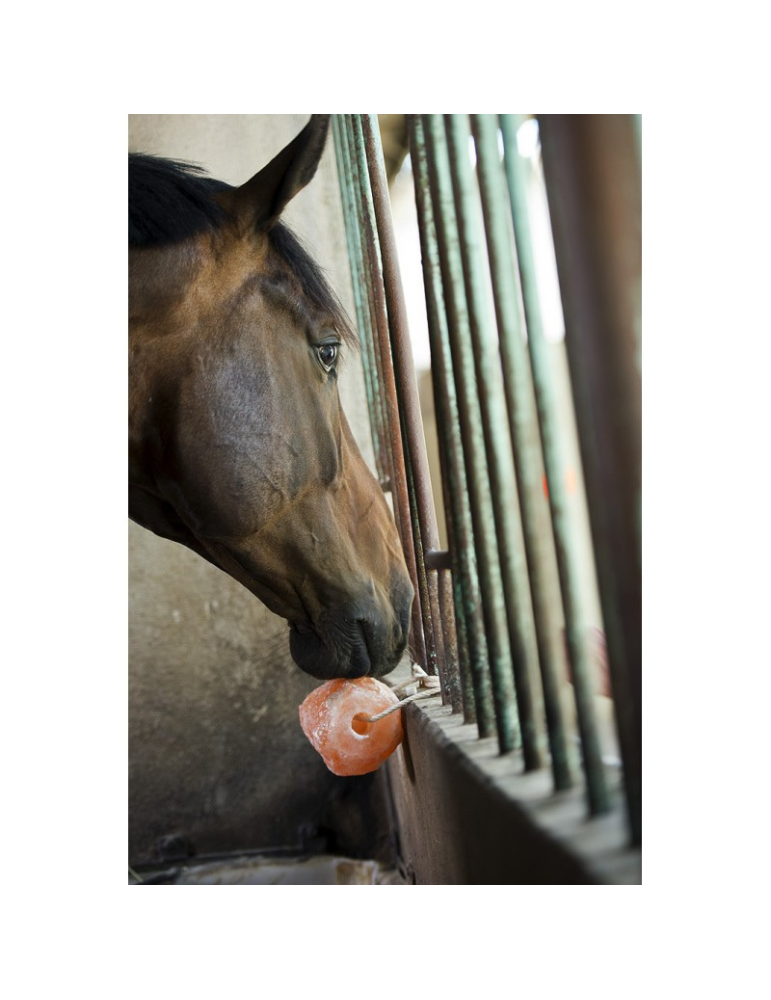 Pierre à sel de l'Himalaya