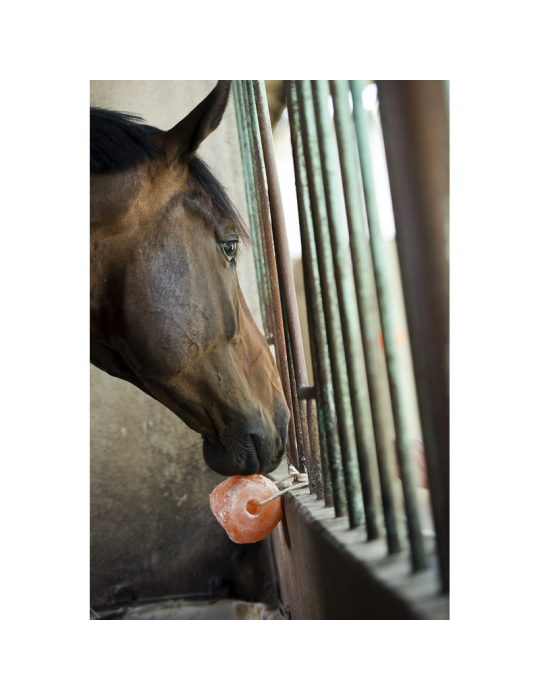 Pierre à sel de l'Himalaya