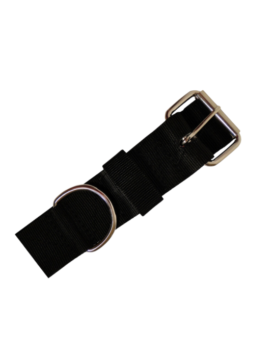 Collier pour mouton en nylon Collier pour mouton en nylon