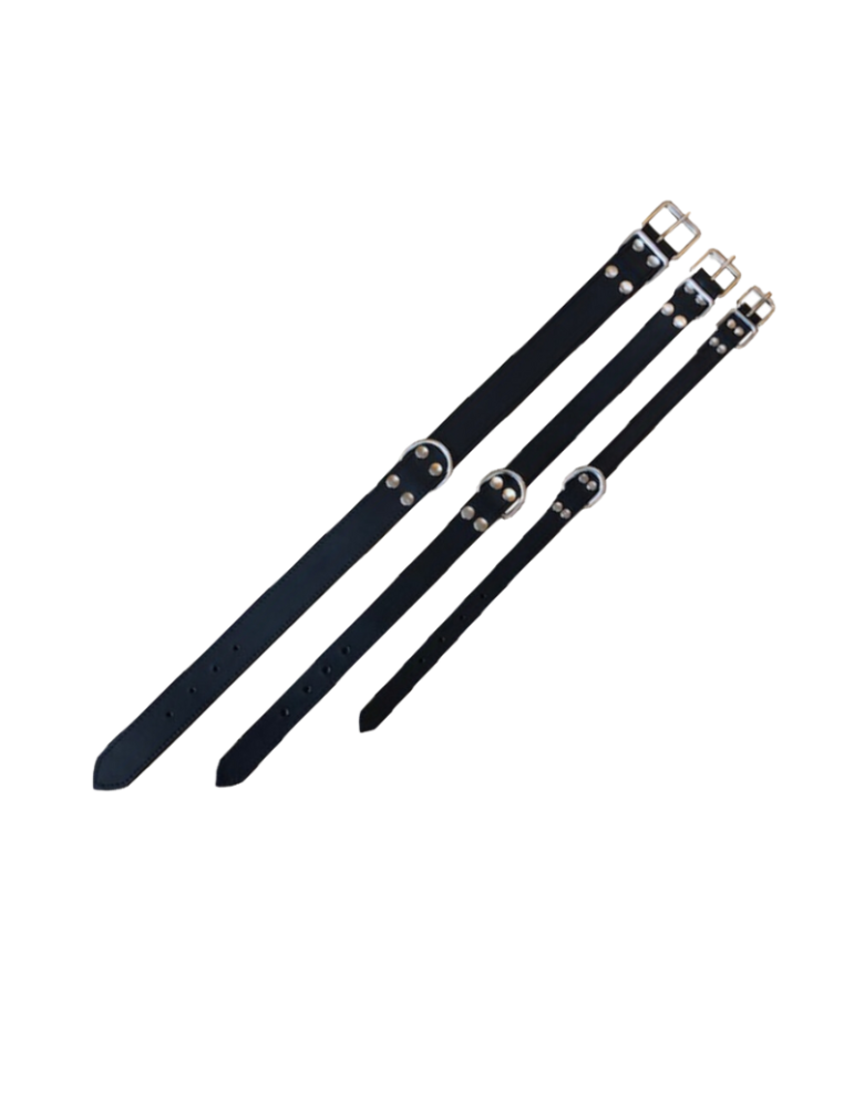 Collier de chien en cuir de buffle