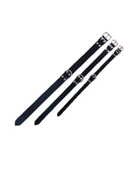 Collier de chien en cuir de buffle