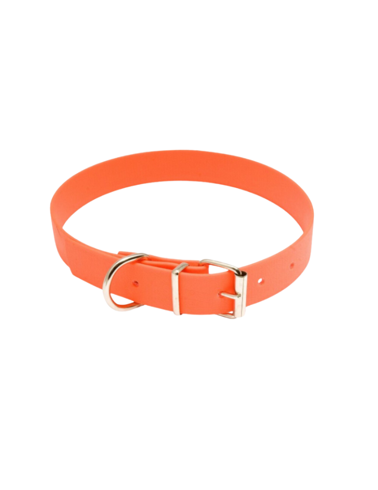 Collier de chien fluorescent