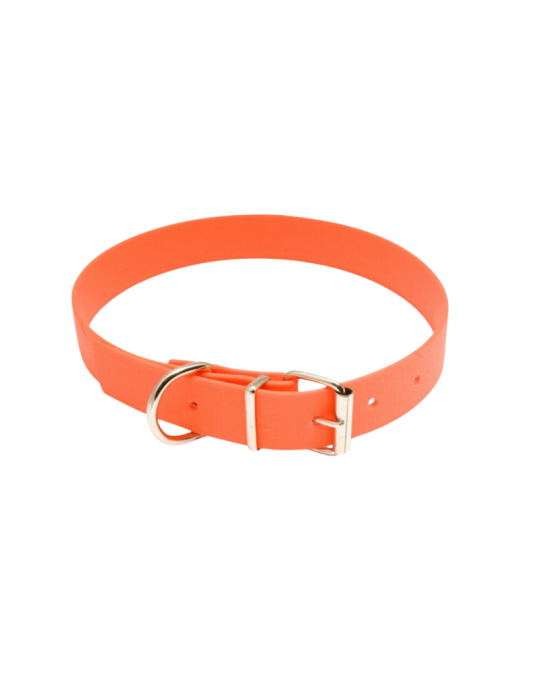 Collier de chien fluorescent