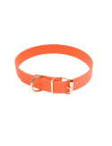 Collier de chien fluorescent