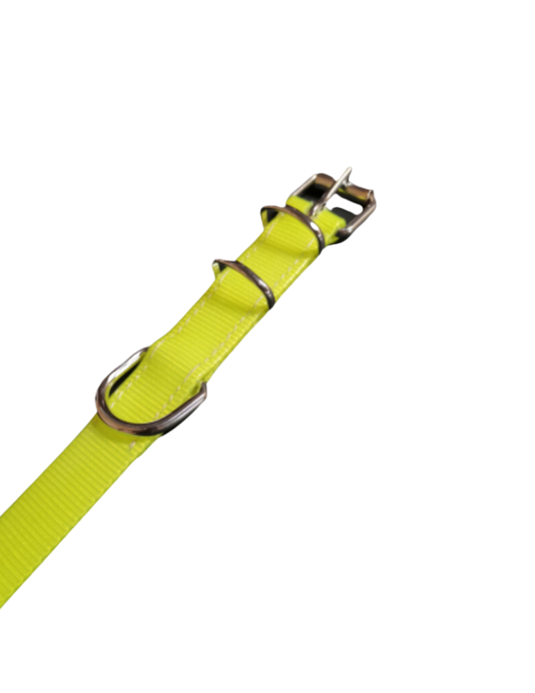 Collier de chien fluorescent