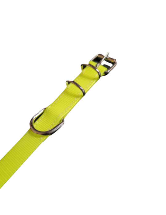 Collier de chien fluorescent