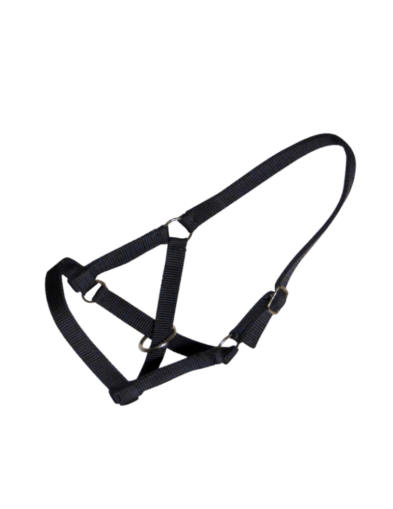 Licol en nylon spécial lama Licol en nylon spécial lama