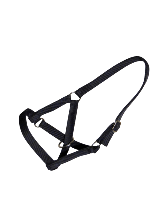 Licol en nylon spécial lama Licol en nylon spécial lama