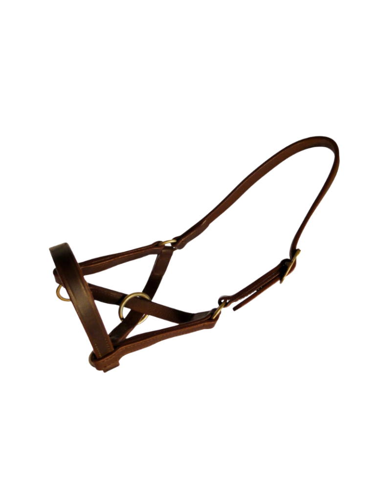 Licol en cuir spécial lama Licol en cuir spécial lama