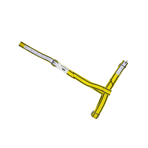 Licol taureau KAMER 2