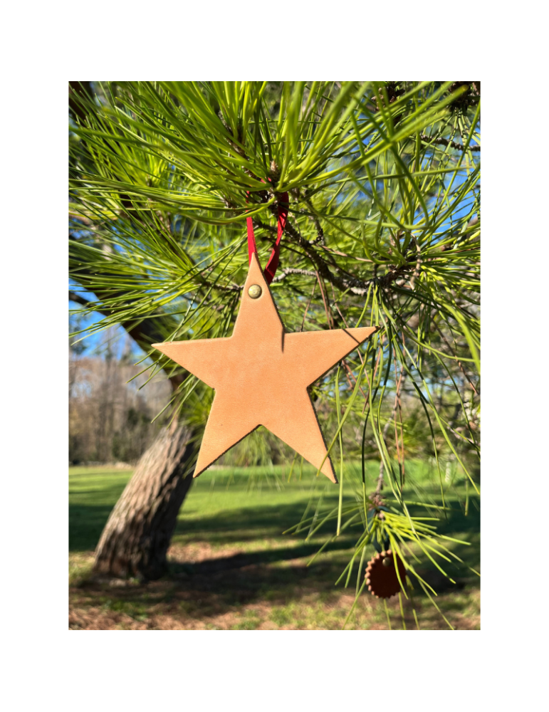 Décoration de Noël "Etoile" - SB Décoration de Noël "Etoile" - SB