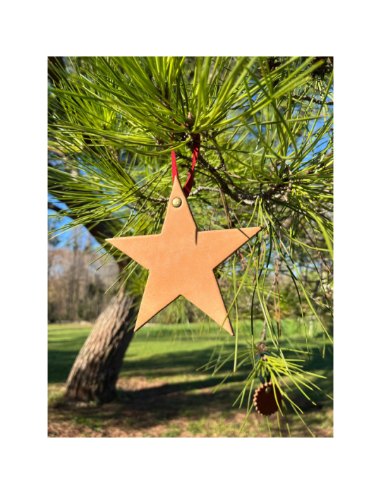 Décoration de Noël "Etoile" - SB Décoration de Noël "Etoile" - SB