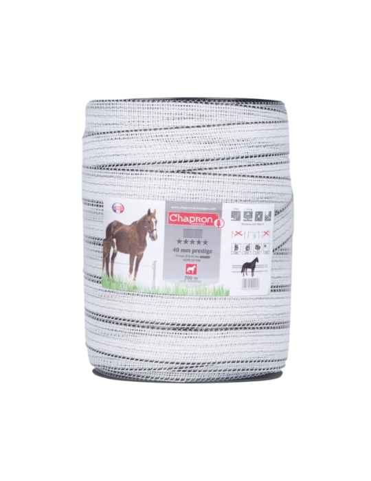 Ruban prestige 40 mm CHAPRON