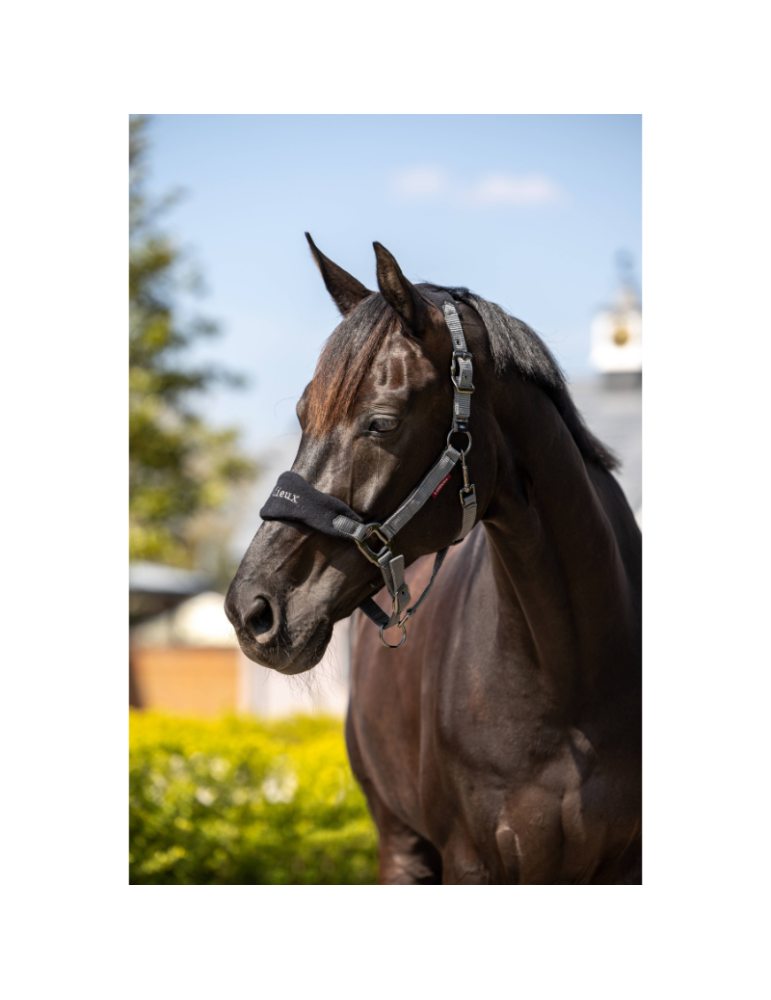 Licol Vogue & longe LeMieux