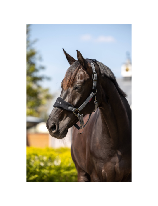 Licol Vogue & longe LeMieux