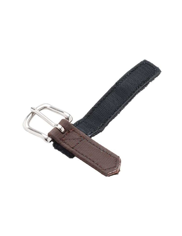 Grenouille de guides