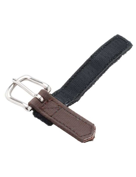 Grenouille de guides