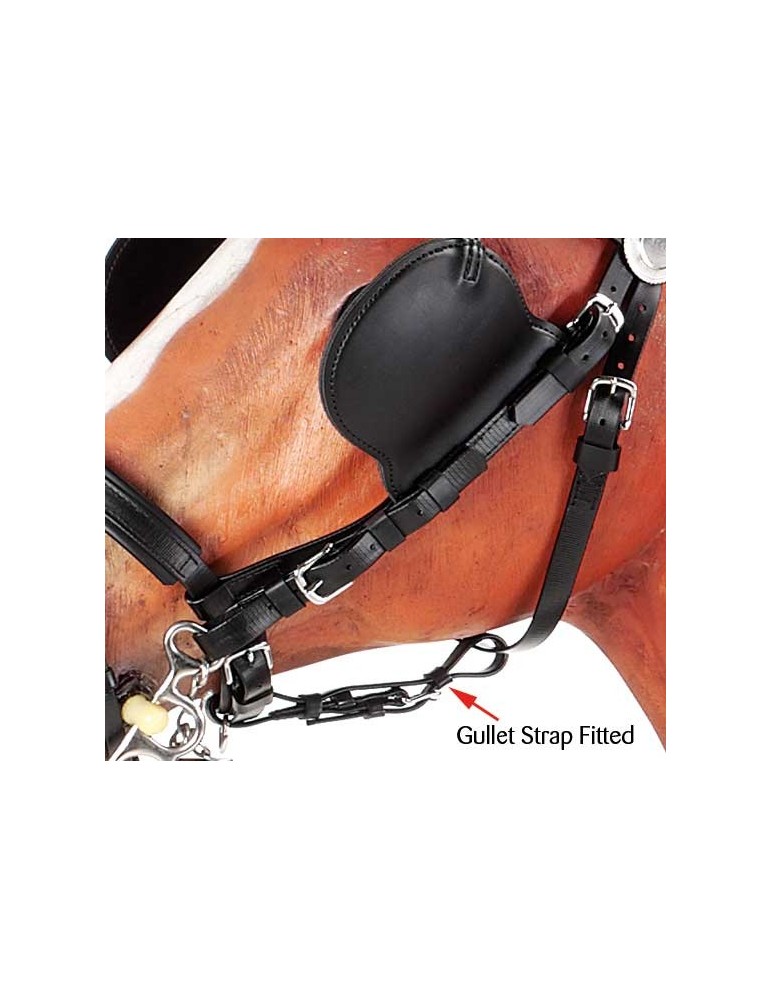 Alliance anti débridement