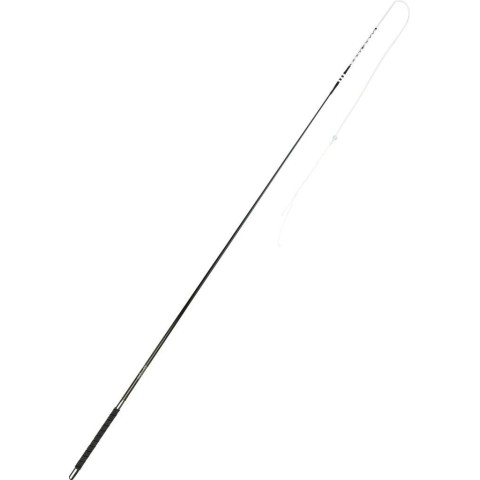 Fouet Whip and Go Carbone