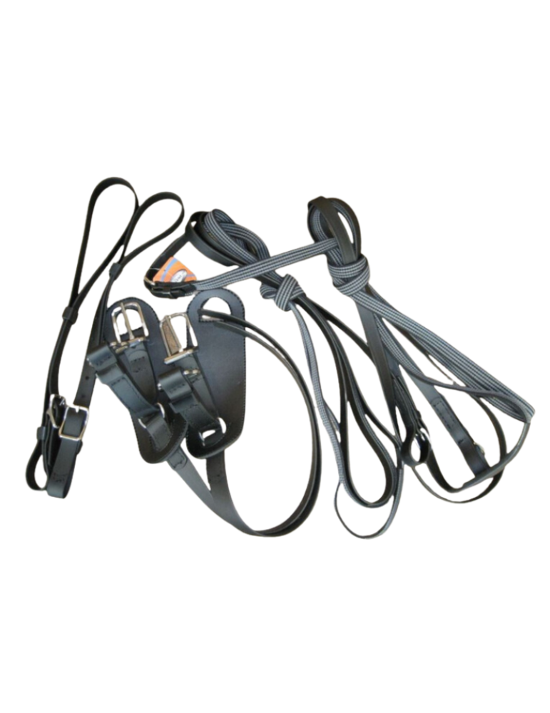 Kit d'adaptation pour harnais en biothane