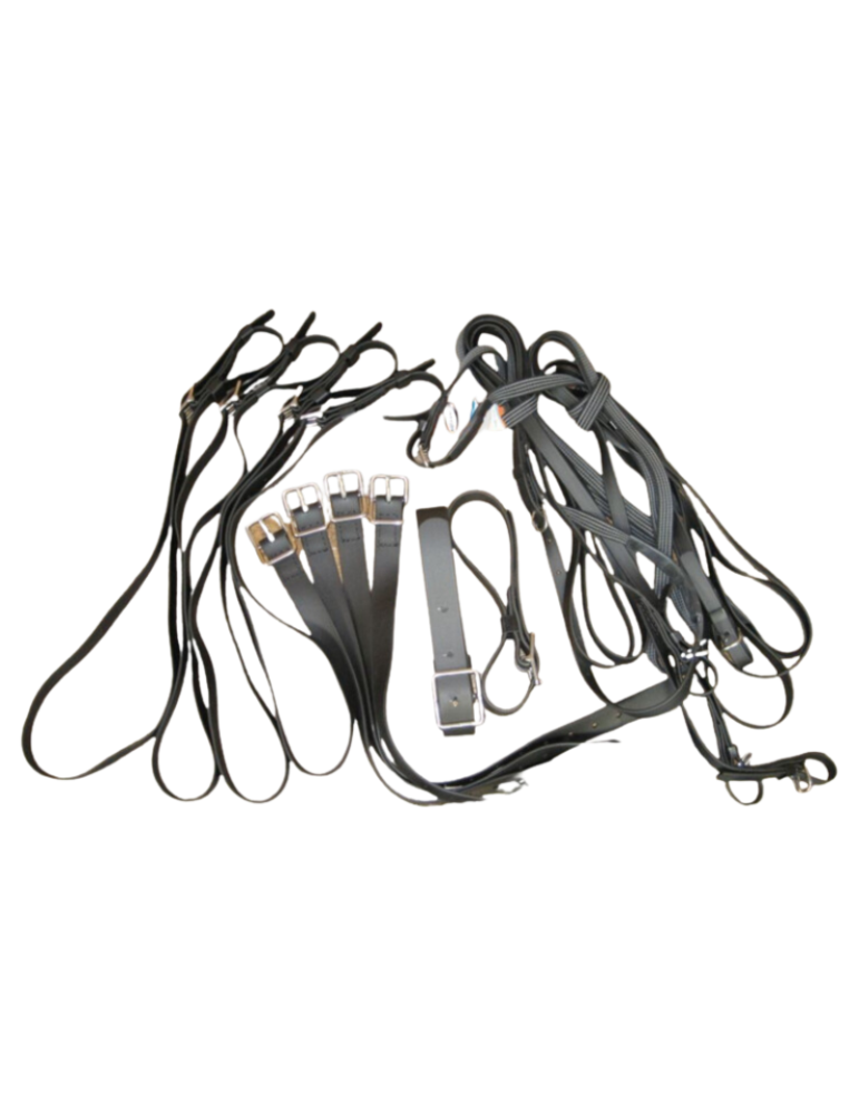 Kit d'adaptation pour harnais en biothane