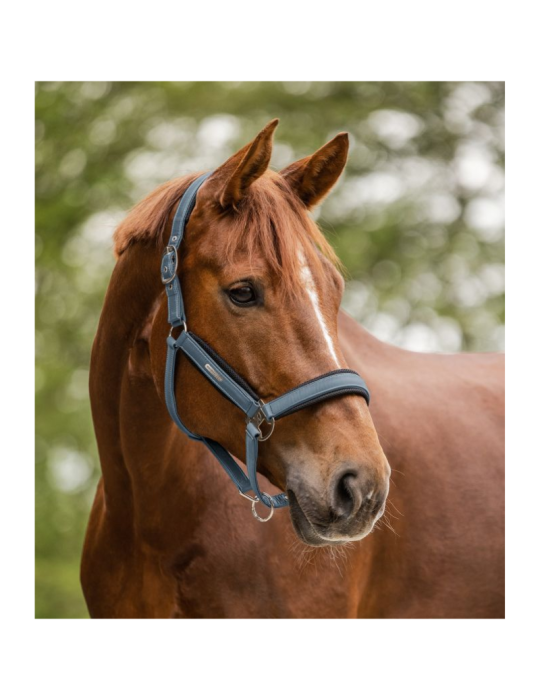Licol Breath WALDHAUSEN
