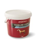 Vaseline codex PASKA