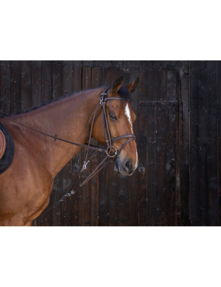 Gogue à poulies RIDING WORLD