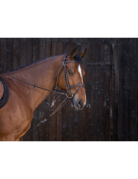 Gogue à poulies RIDING WORLD