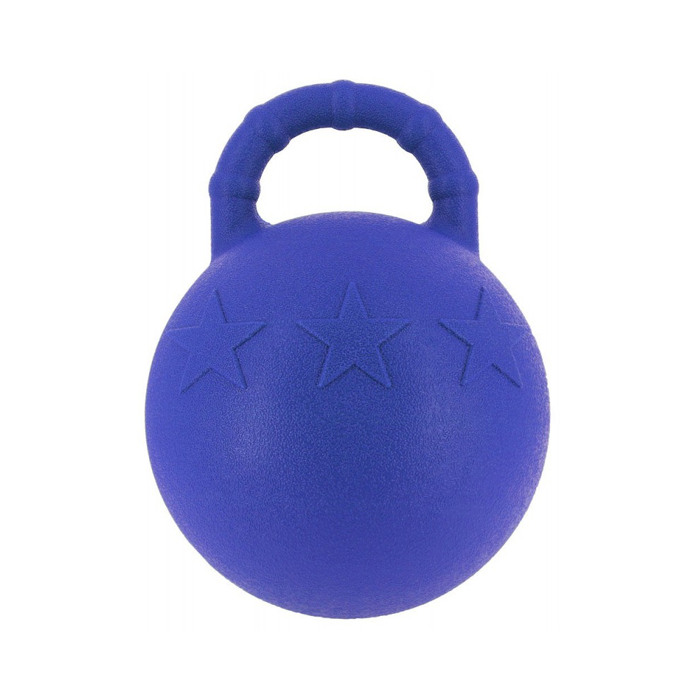 Ballon à poignée - HIPPOTONIC