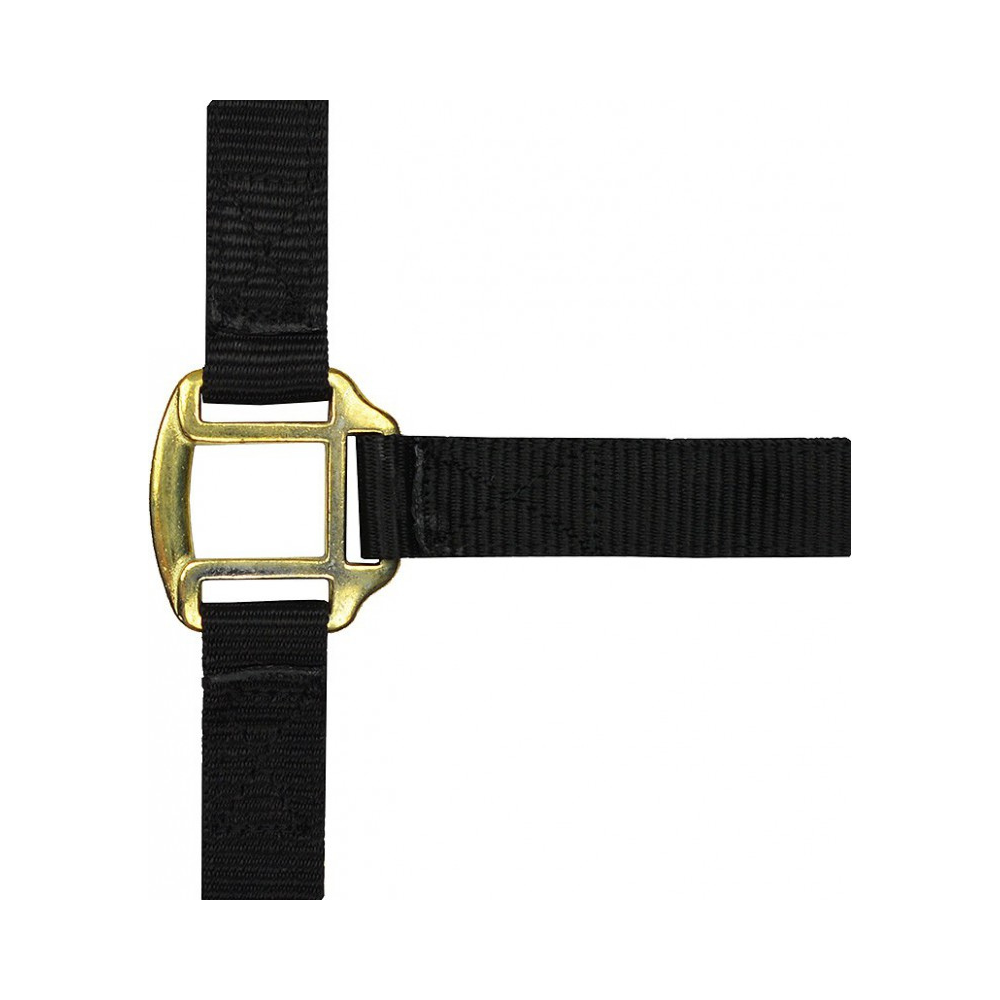 Licol nylon doublé cuir COB