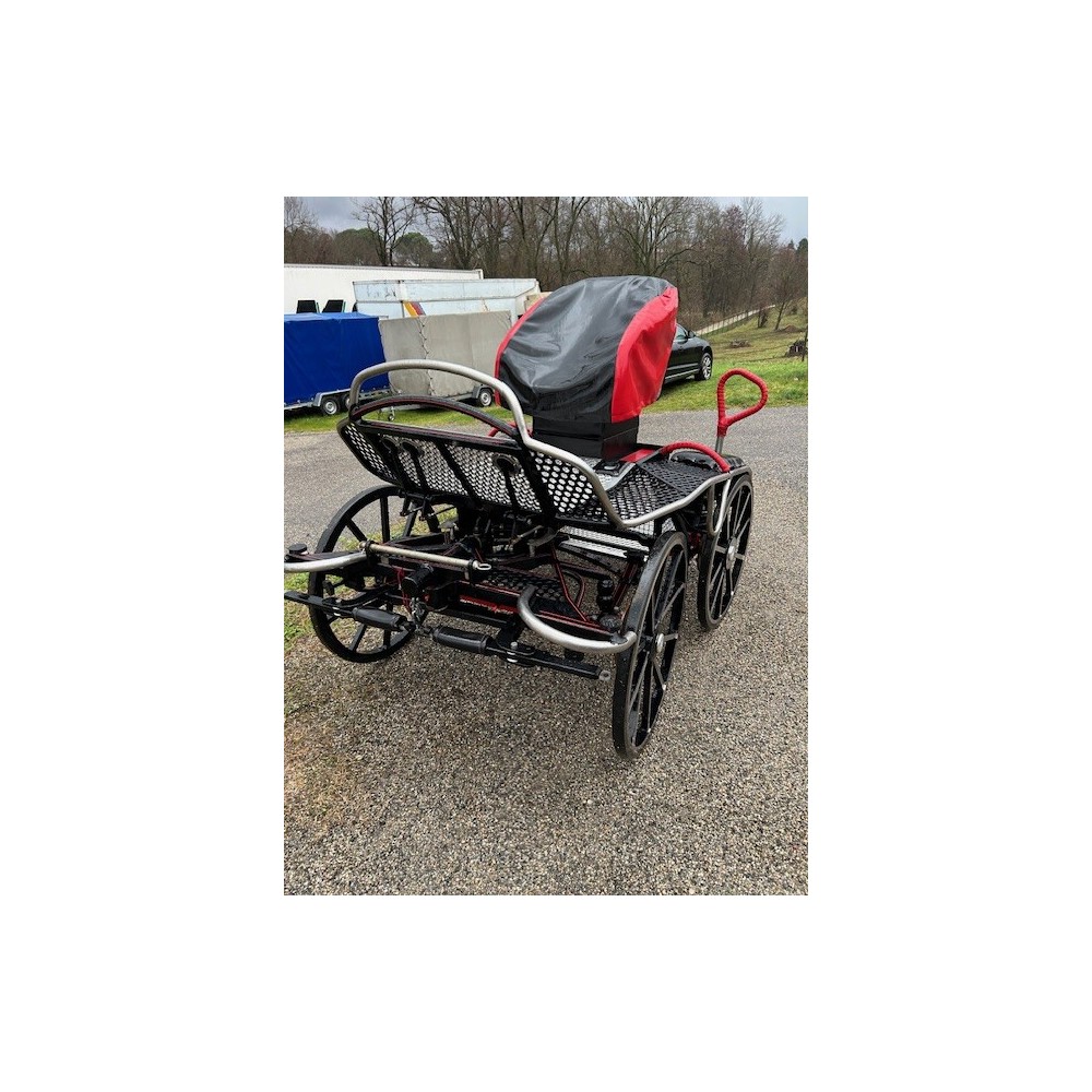 OCCASION Tiger 350 - paire cheval