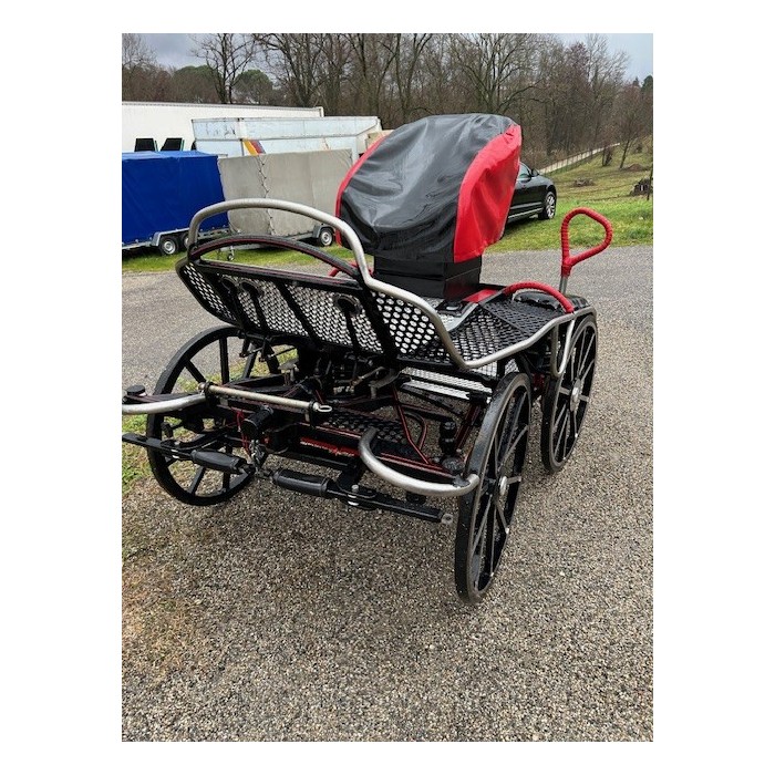 OCCASION Tiger 350 - paire cheval