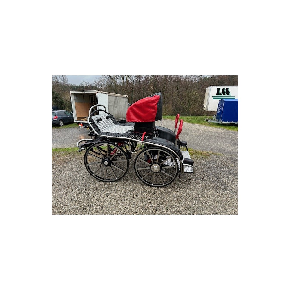 OCCASION Tiger 350 - paire cheval